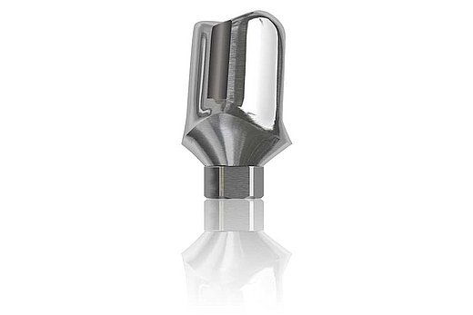 Image Abutment individuali